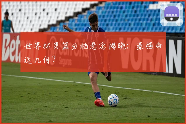 世界杯男篮分档悬念揭晓：豪强命运几何？