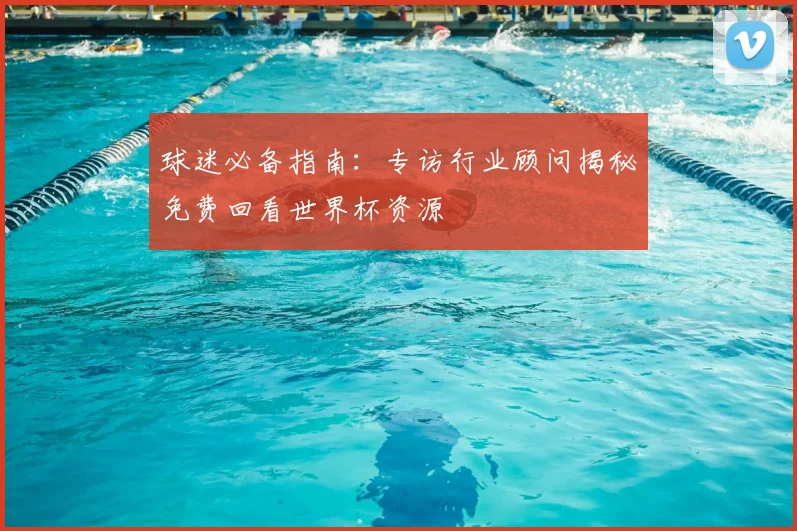 球迷必备指南：专访行业顾问揭秘免费回看世界杯资源