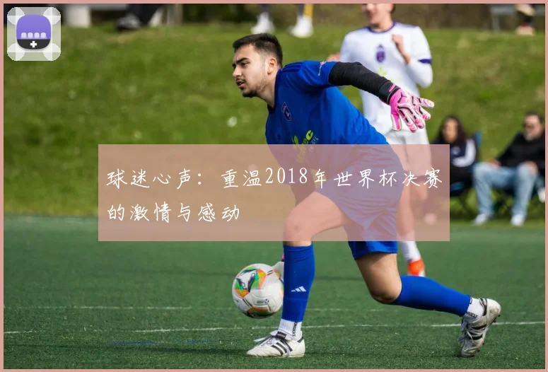 球迷心声：重温2018年世界杯决赛的激情与感动