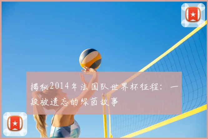 揭秘2014年法国队世界杯征程：一段被遗忘的绿茵故事