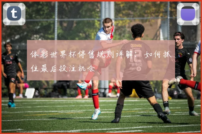 体彩世界杯停售规则详解：如何抓住最后投注机会