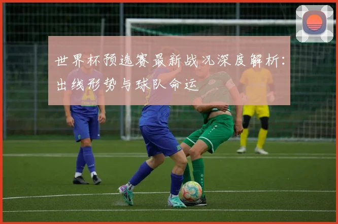 世界杯预选赛最新战况深度解析：出线形势与球队命运