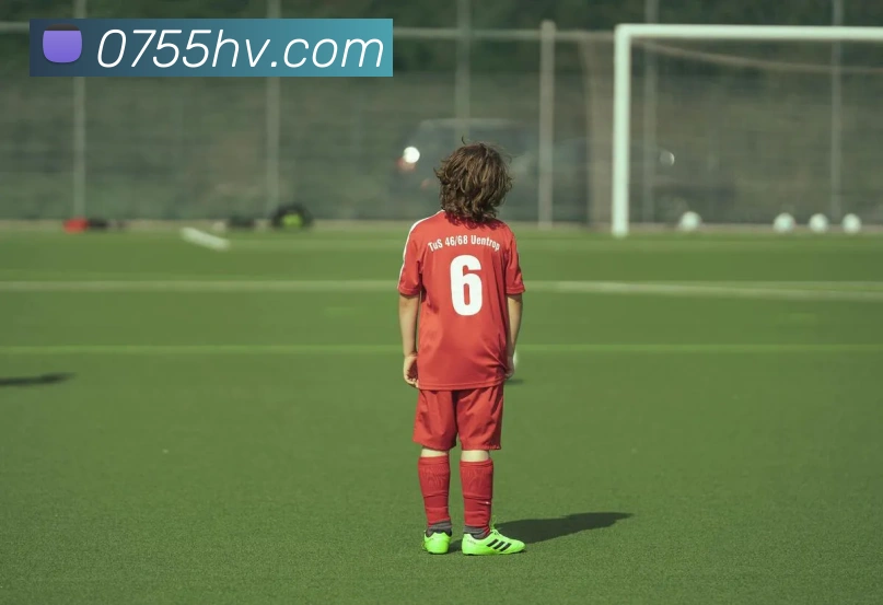 安博app登录入口网页版平台生态图